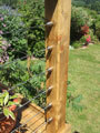 Stainless Steel Deck Cables